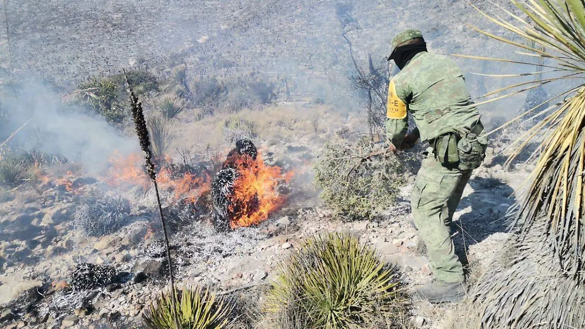 Militares combaten incendio 2